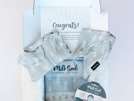 ASPEN WELCOME BABY GIFT BOX For Sale