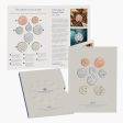 The 2025 United Kingdom BU Definitive Coin Set Online Sale