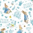 Peter Rabbit Piggy Bank For Cheap