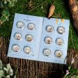 The World of Peter Rabbit 2023 Complete Coin Collection Online Sale