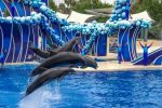 SeaWorld Florida Tickets Discount