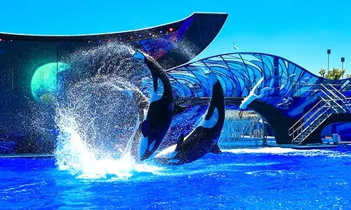 SeaWorld Florida Tickets Discount