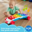 Fisher Price Giant Light-Up Xylophone Walker Fashion